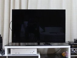 不只是甜蜜 從一臺液晶電視，細(xì)數(shù)婚姻生活的多重維度